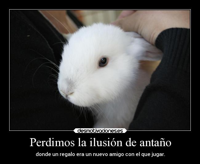 Perdimos la ilusión de antaño - 