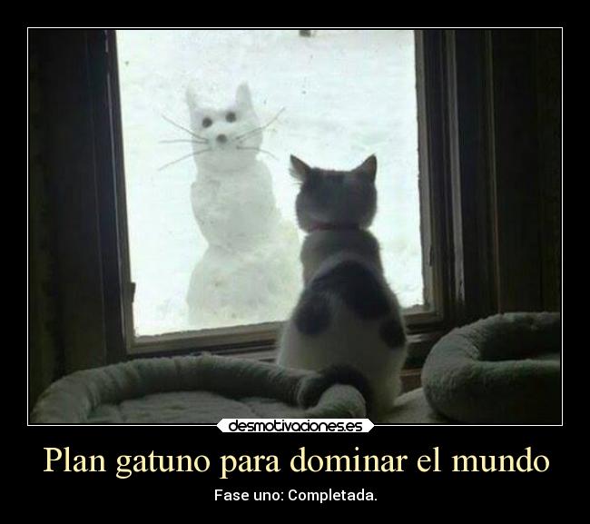 Plan gatuno para dominar el mundo - Fase uno: Completada.