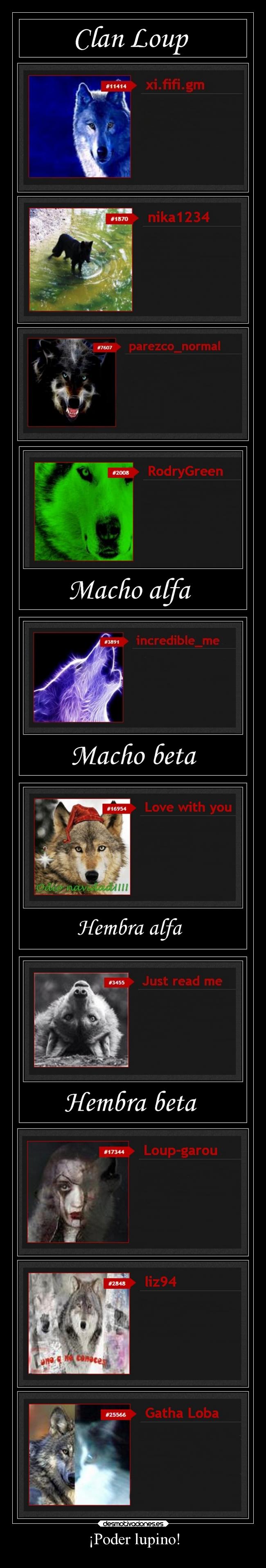 carteles amigos amistad animales sonrisa clanloup desmotivaciones