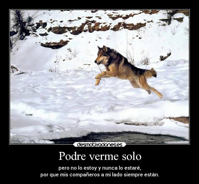 Podre verme solo - pero no lo estoy y nunca lo estaré,
por que mis compañeros a mi lado siempre están.