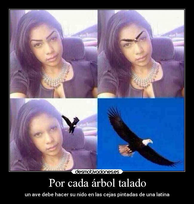 carteles eften desmotivaciones