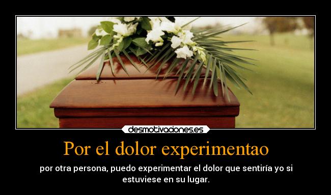 Por el dolor experimentao - por otra persona, puedo experimentar el dolor que sentiría yo si
estuviese en su lugar.