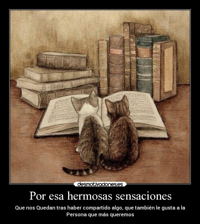 Por esa hermosas sensaciones - 