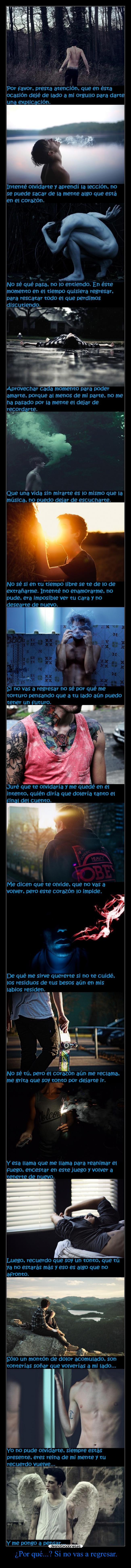 ¿Por qué...? Si no vas a regresar. -