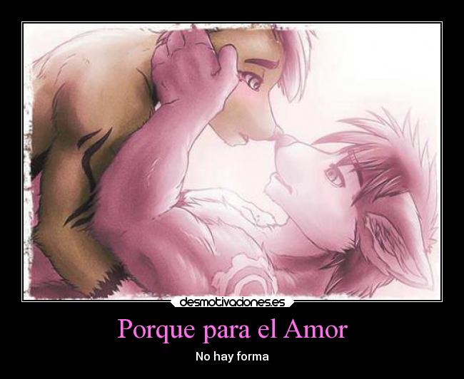 Porque para el Amor - No hay forma