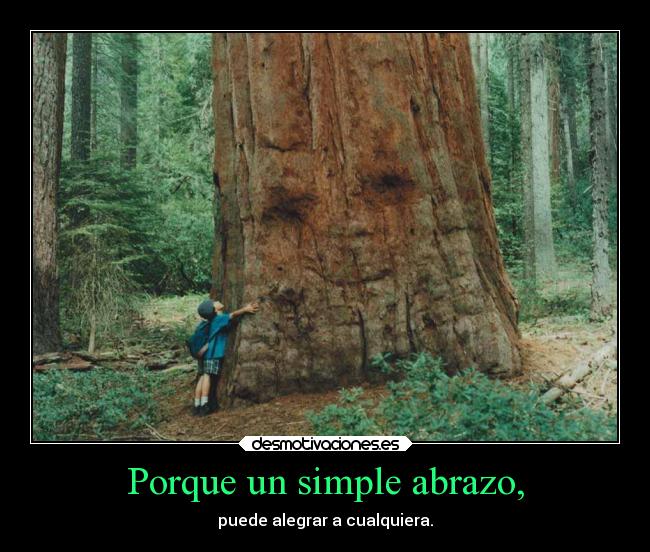 carteles amistad abrazos naturaleza desmotivaciones