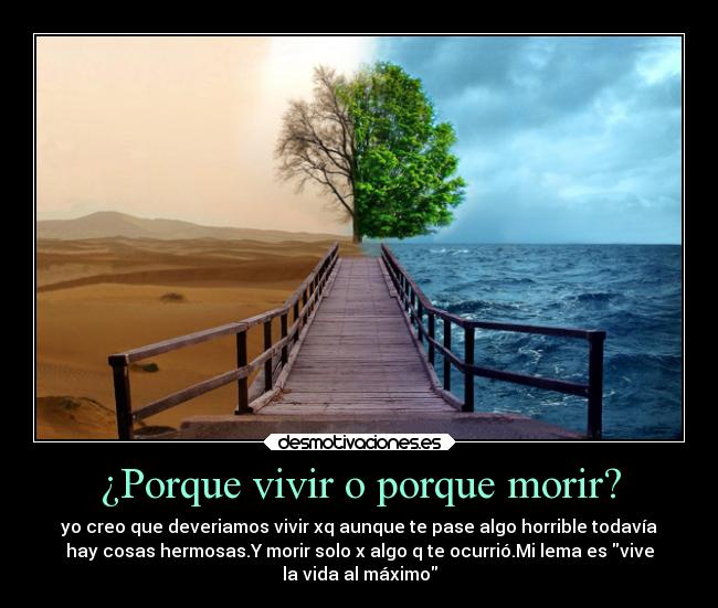 VIVIR VIDA MAXIMO vivir vida maximo: