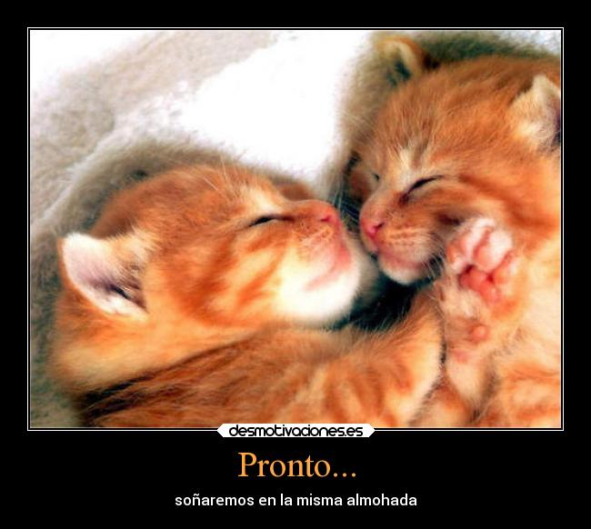 Pronto... - soñaremos en la misma almohada