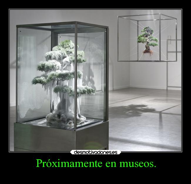 Próximamente en museos. - 