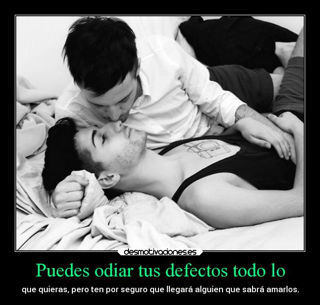 carteles fede28 defectos desmotivaciones