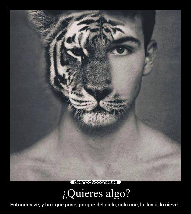 ¿Quieres algo? - Entonces ve, y haz que pase, porque del cielo, sólo cae, la lluvia, la nieve...