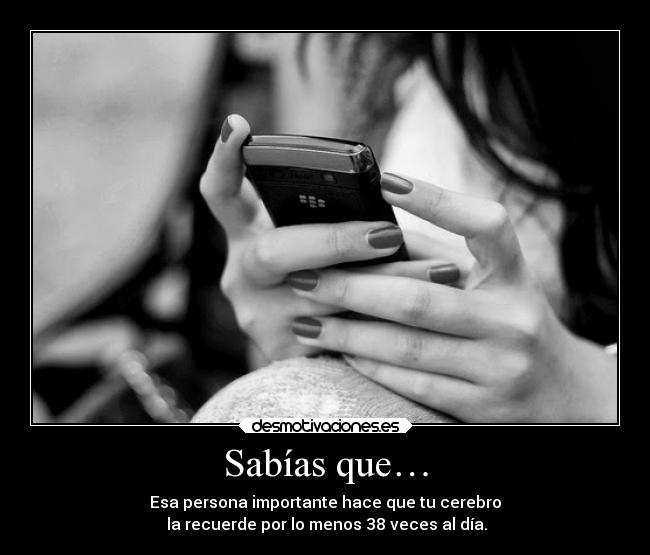 Sabías que… - Esa persona importante hace que tu cerebro
la recuerde por lo menos 38 veces al día.