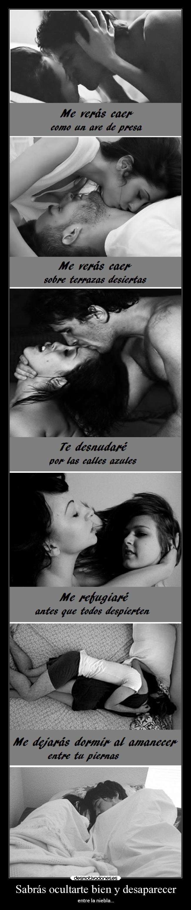 Sabrás ocultarte bien y desaparecer -