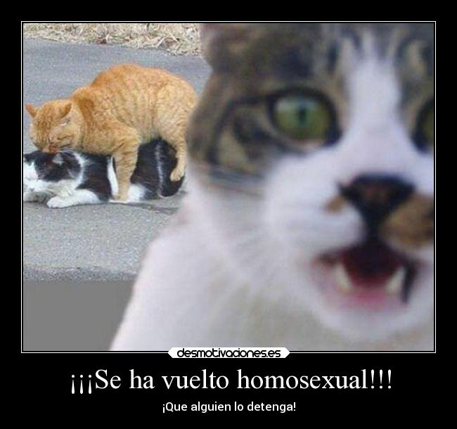 ¡¡¡Se ha vuelto homosexual!!! - ¡Que alguien lo detenga!