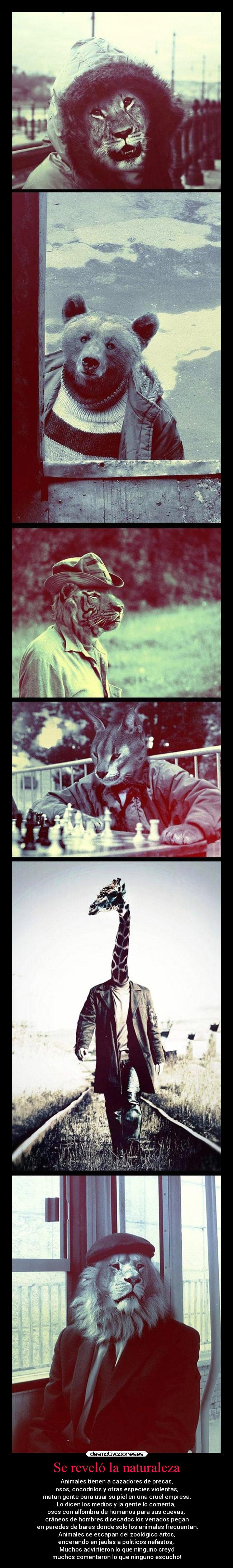 Se reveló la naturaleza -