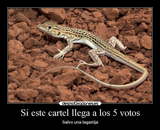 Si este cartel llega a los 5 votos - 