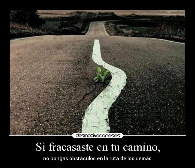 Si fracasaste en tu camino, -