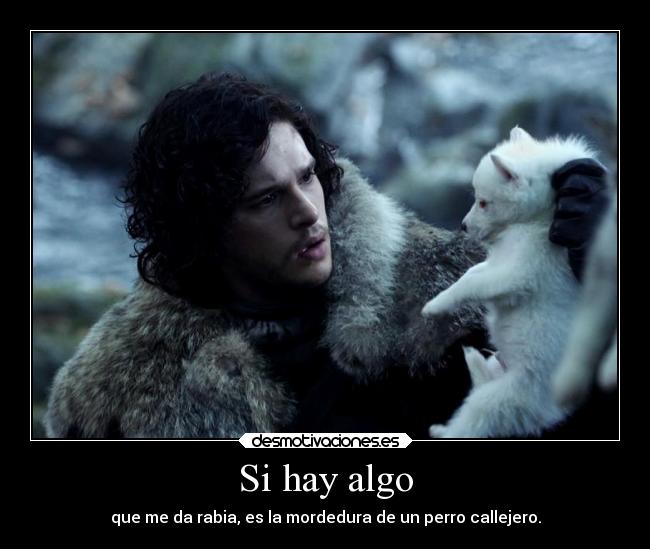 carteles jon nieve fantasma plagio simplemente twitter comparto con vosotros desmotivaciones