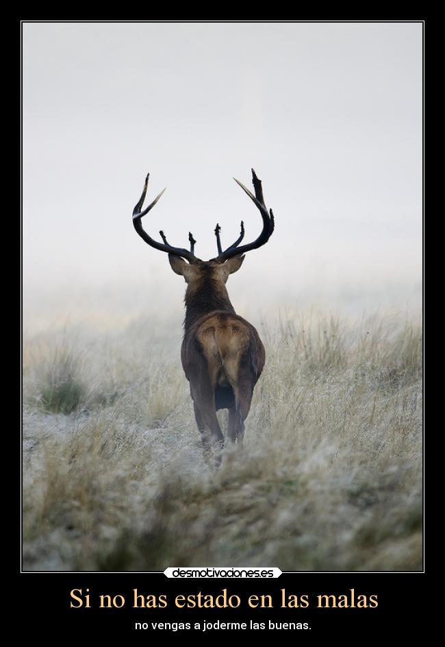 Si no has estado en las malas - no vengas a joderme las buenas.