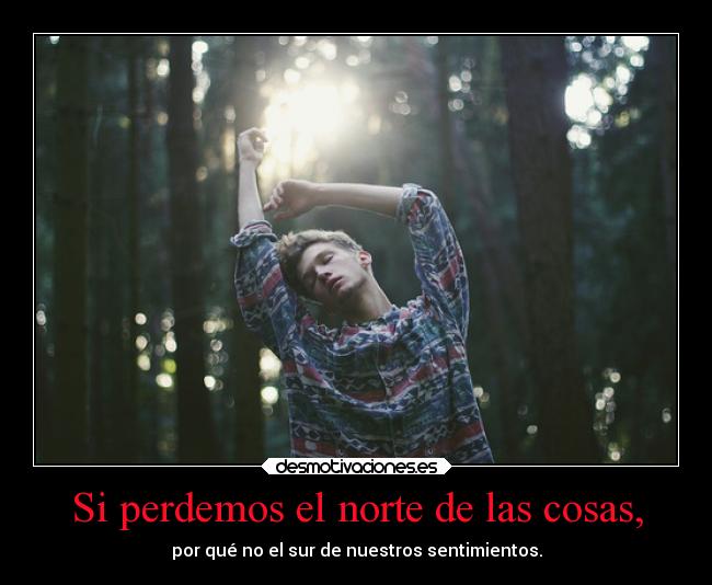 Si perdemos el norte de las cosas, - por qué no el sur de nuestros sentimientos.