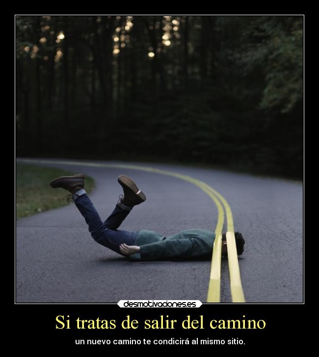 carteles zood desmotivaciones