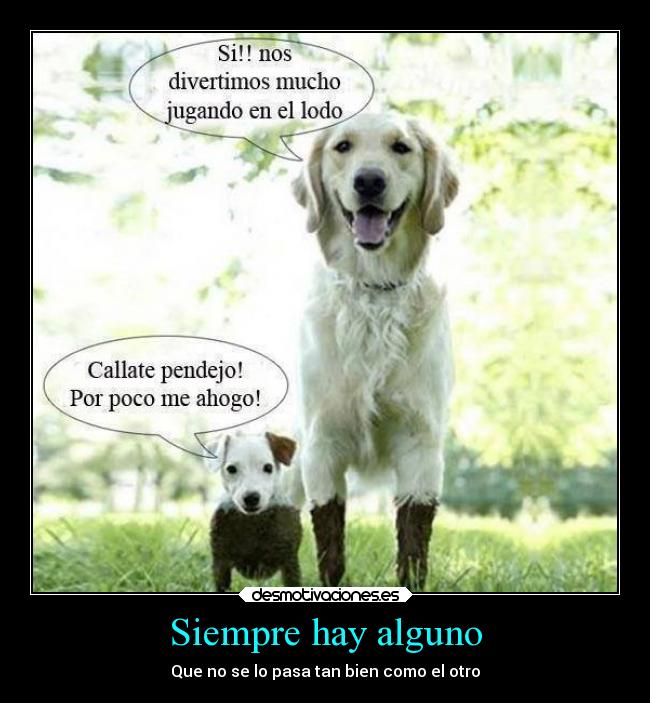 Siempre hay alguno - Que no se lo pasa tan bien como el otro