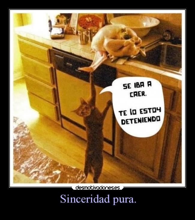 Sinceridad pura. - 
