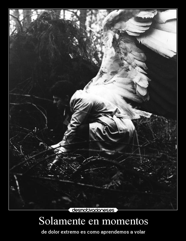 carteles deseos suenos vida desmotivaciones