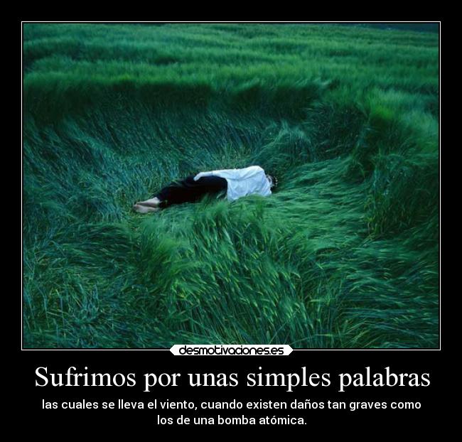 Sufrimos por unas simples palabras -