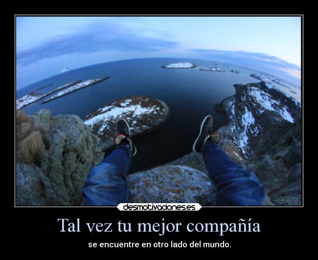 Tal vez tu mejor compañía -