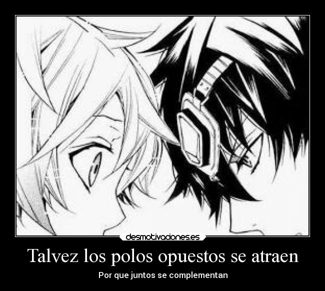 Talvez los polos opuestos se atraen -