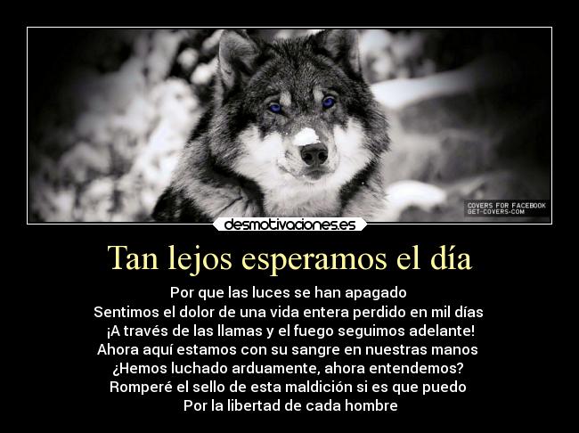 Tan lejos esperamos el día - Por que las luces se han apagado
Sentimos el dolor de una vida entera perdido en mil días
¡A través de las llamas y el fuego seguimos adelante!
Ahora aquí estamos con su sangre en nuestras manos
¿Hemos luchado arduamente, ahora entendemos?
Romperé el sello de esta maldición si es que puedo
Por la libertad de cada hombre