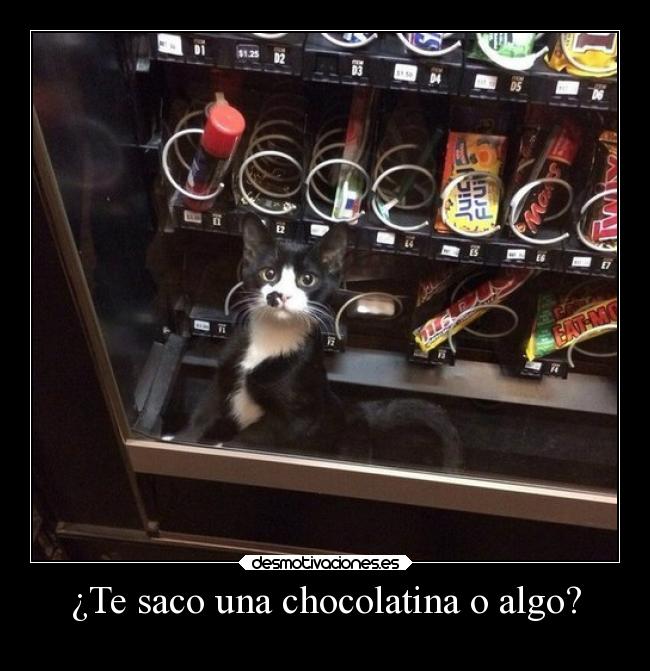 ¿Te saco una chocolatina o algo? - 