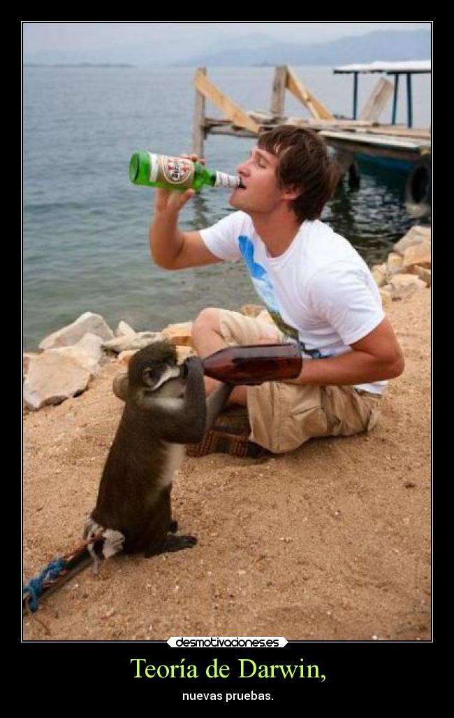 carteles darwin evolucion desmotivaciones