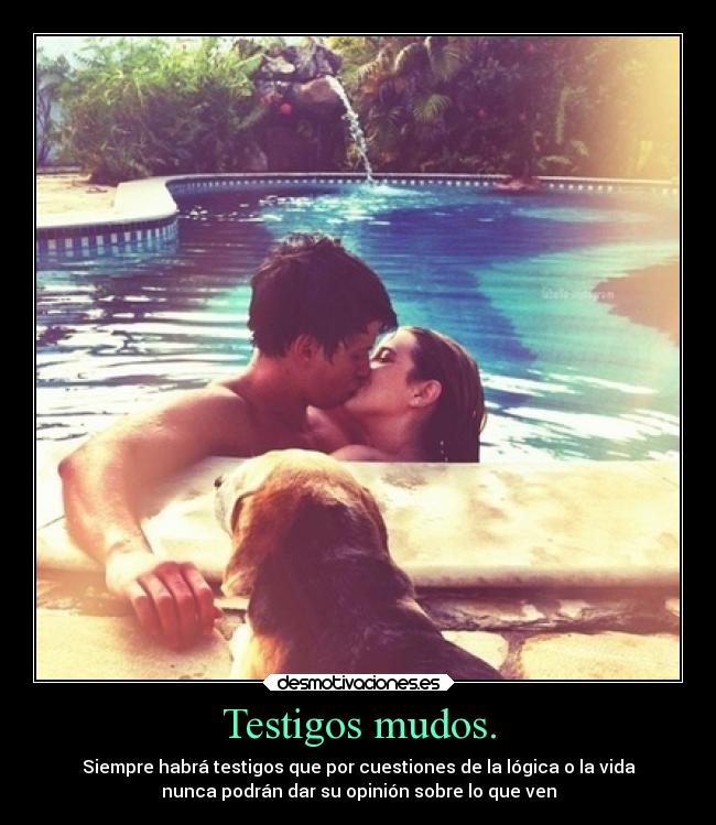 Testigos mudos. - Siempre habrá testigos que por cuestiones de la lógica o la vida
nunca podrán dar su opinión sobre lo que ven