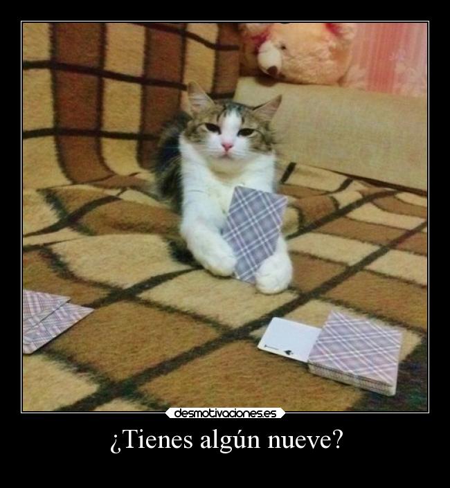 ¿Tienes algún nueve? - 