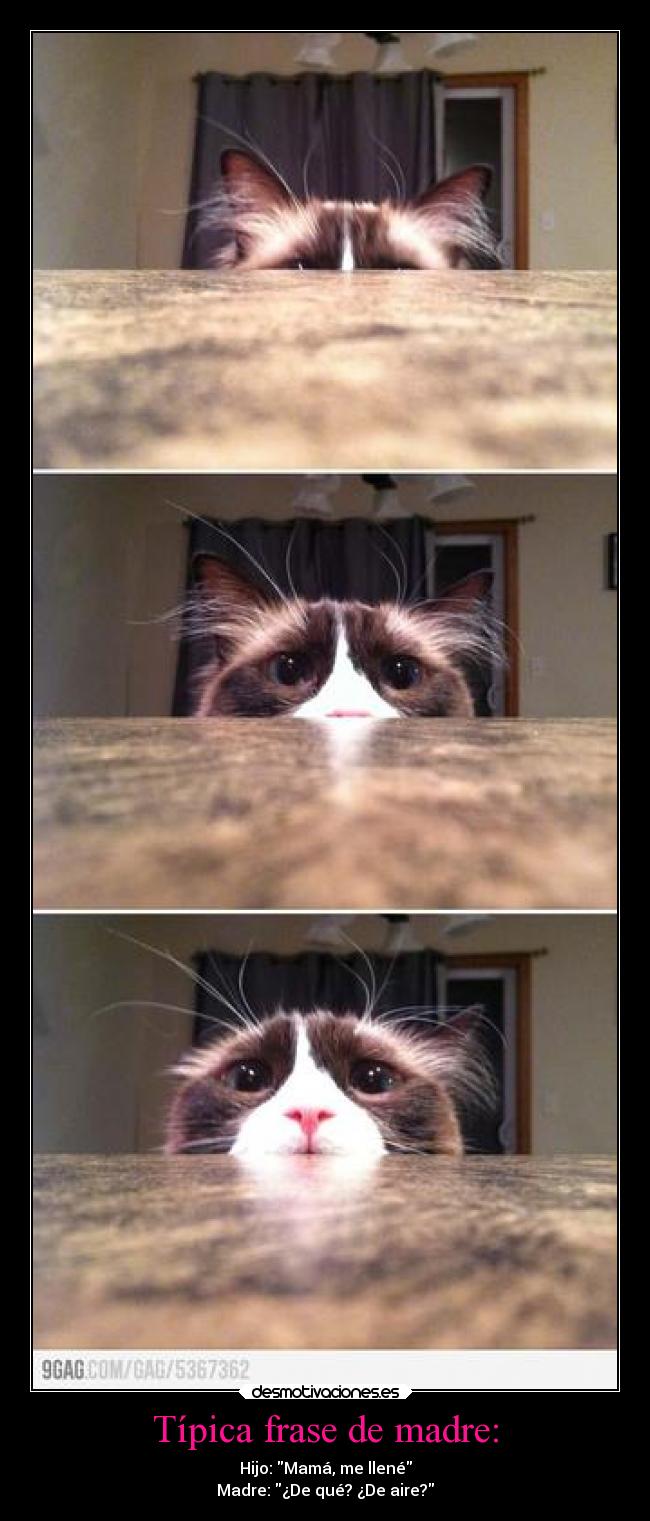 Típica frase de madre: - Hijo: Mamá, me llené
Madre: ¿De qué? ¿De aire?