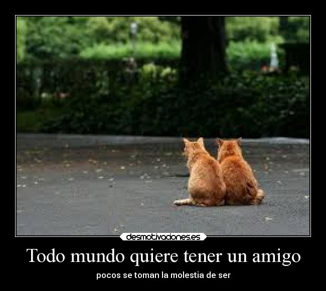 Todo mundo quiere tener un amigo -