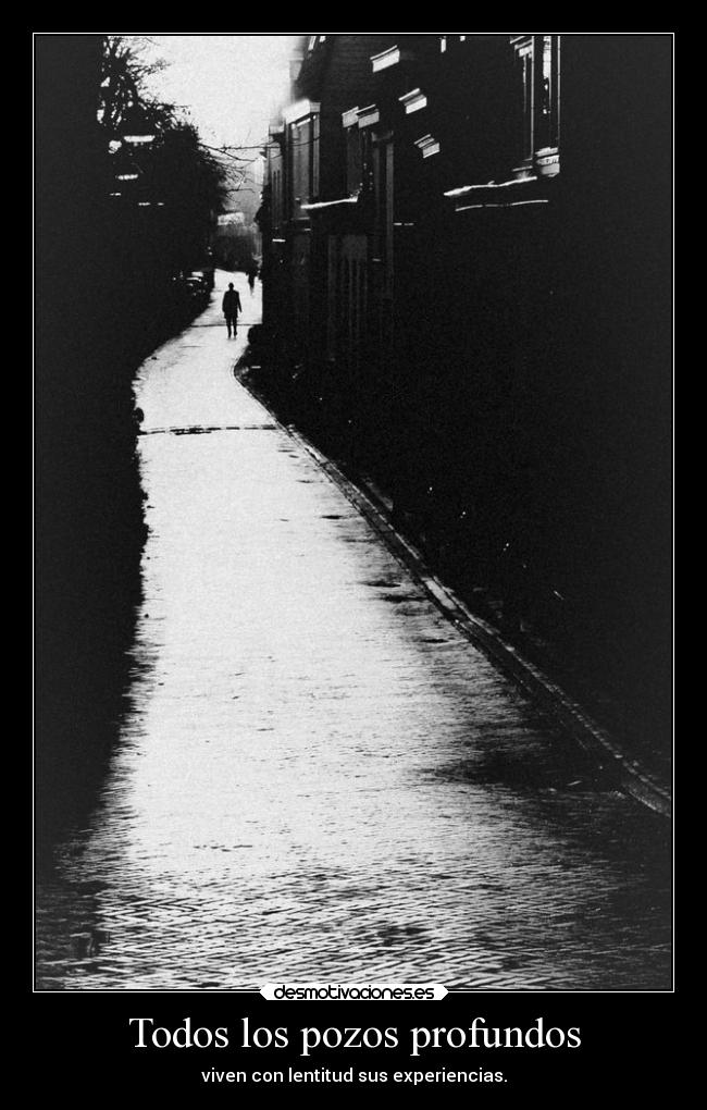 carteles amm friedrich nietzsche siddhartha19 desmotivaciones