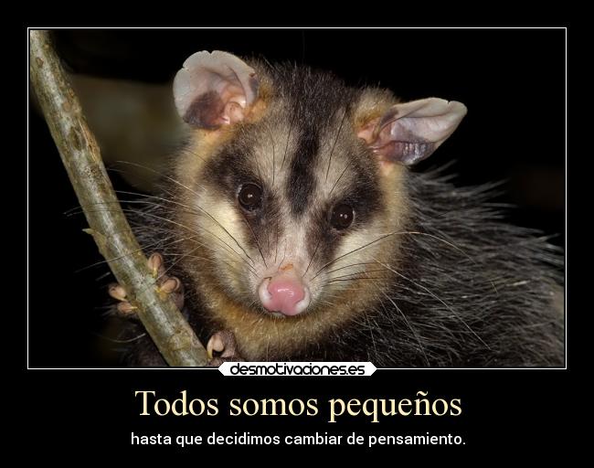 Todos somos pequeños -