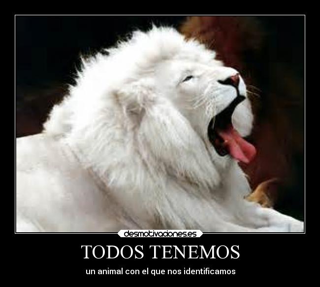 TODOS TENEMOS - un animal con el que nos identificamos