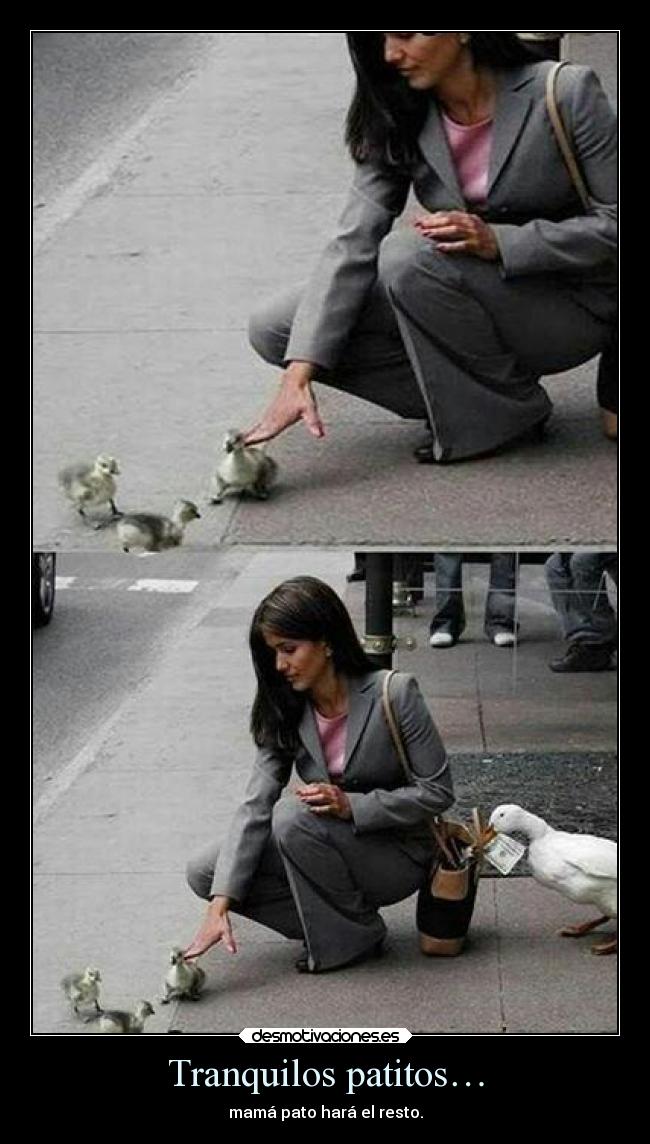 Tranquilos patitos… -