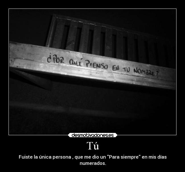 Tú - Fuiste la única persona , que me dio un Para siempre en mis días
numerados.