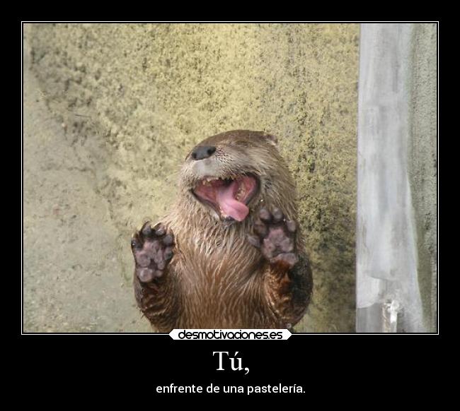 Tú, - enfrente de una pastelería.