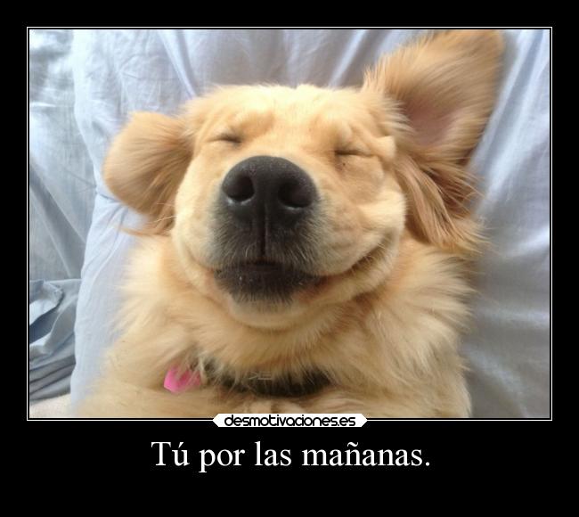 Tú por las mañanas. - 