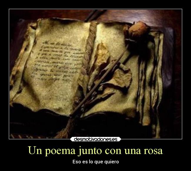 Un poema junto con una rosa - Eso es lo que quiero