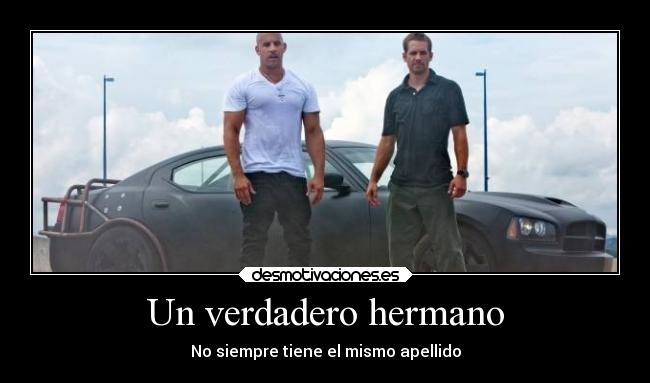 carteles siempre puede ser mas que una simple amistad desmotivaciones