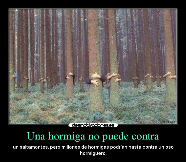 Una hormiga no puede contra -