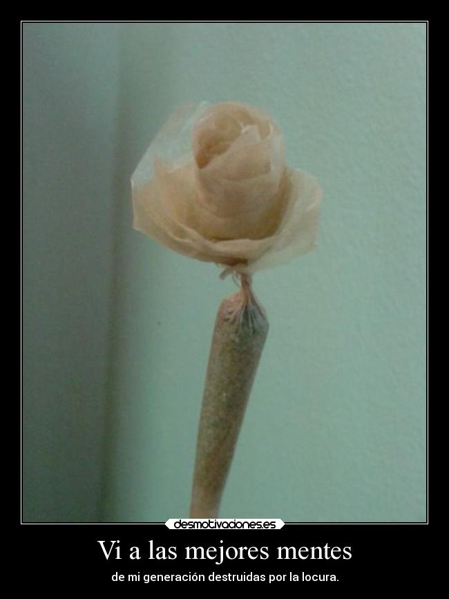 Vi a las mejores mentes - de mi generación destruidas por la locura.
