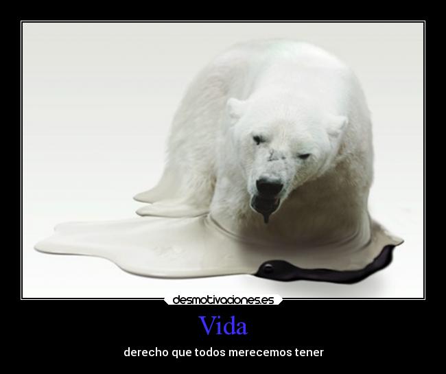 Vida - derecho que todos merecemos tener